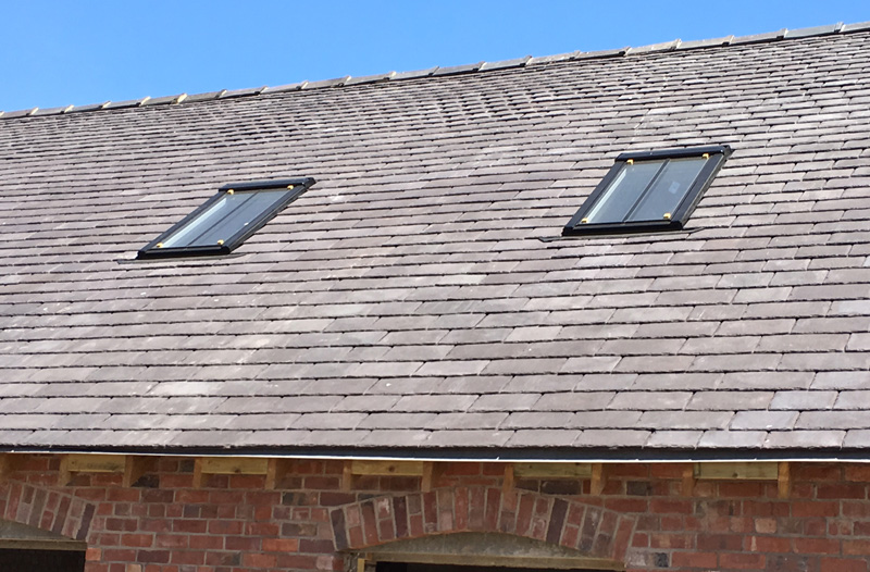 random-diminishing-welsh-heather-purple-4